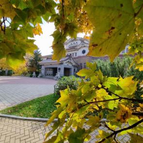 ����: ظ��� ��������� ����