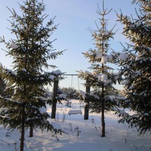 ������� � �����