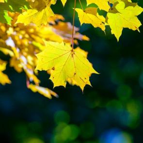 ����: �������� ���� &amp;#65533; 