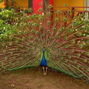 ����: ��������...