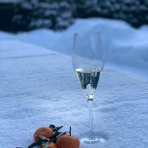 ����: ���������� ����