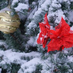 ����: ���� �������� � ������� ������ ...