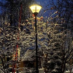 ����: ��������. ����� ����.