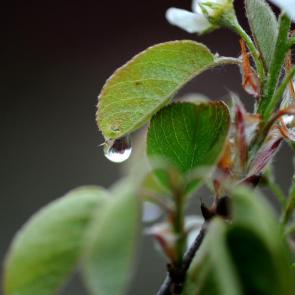 ����: ����� �����