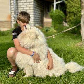 ����: ������