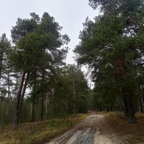 ������, �������� � ����