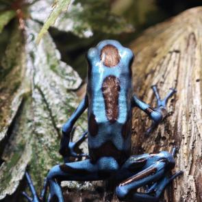 ����: ���������� 