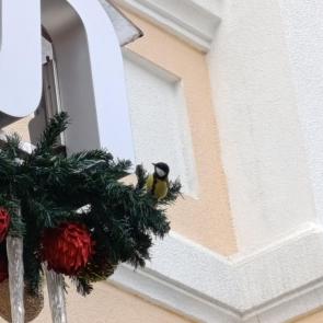 ����: ���������� �������