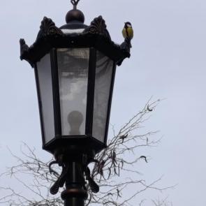 ����: ������ ��������� ����