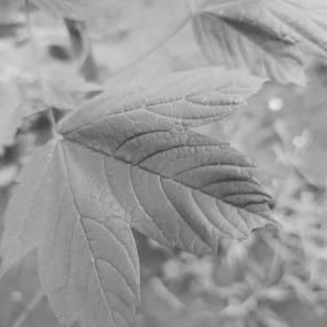 ���� ��������: �� ���� ���������