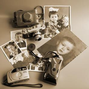 ����: ������