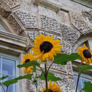 ����: ������������ 