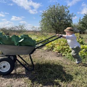 ������� � �����