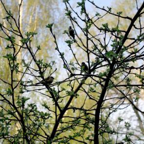 ����: �������, ����� ������...