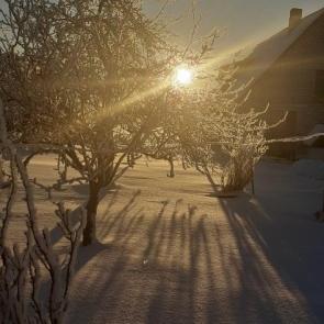 � ������� ��� ������ ������