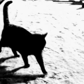 ����: ����� ����� ����������!