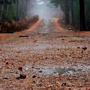 ������, �������� � ����