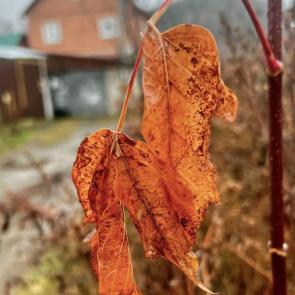 ����: ��������� �����...