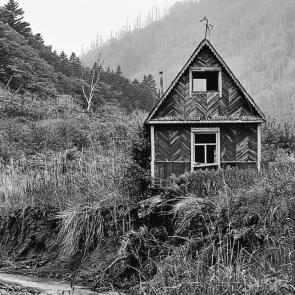 ����: �� ���� ������� 