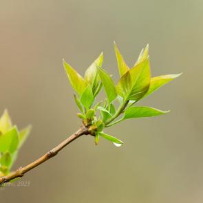 ����: �������� ������