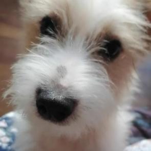 ���� ��������: �����, �����