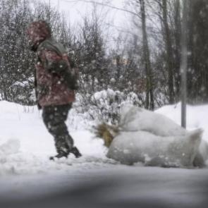 ����: ���� ���������