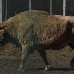 � ������� �����