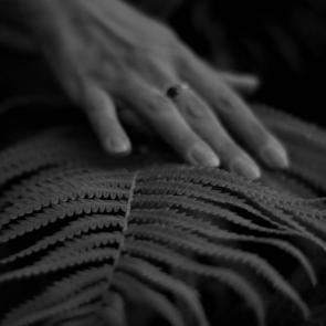 ����: �������������