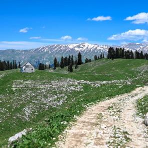 ����: �������� 