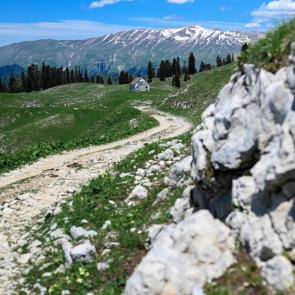 ������, �������� � ����