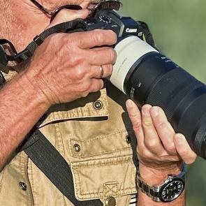 ����: ���� ���������