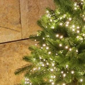 ����: ���������� ����