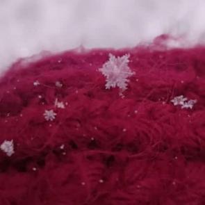 ����: ��������