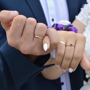 ����: ���������