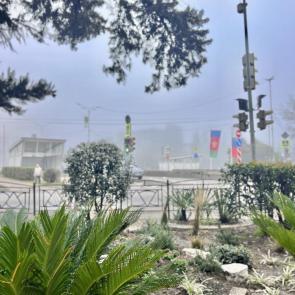 ������ � ���������