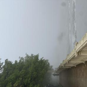 ����: �������