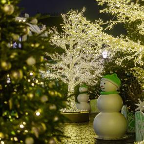 ����: ���������� �����