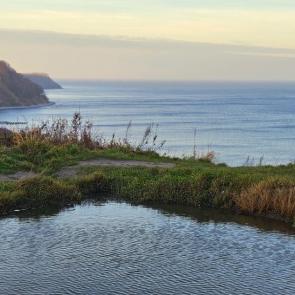 ����: ������ � ������