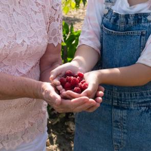 ����: ���������