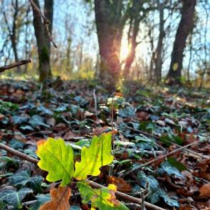 ����: ����� � ����