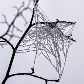 ������ ���������������