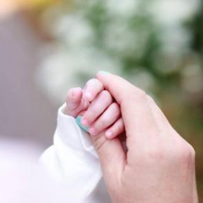 ����: ������ ��������� 