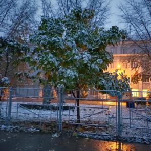 � ������� ��� ������ ������