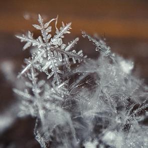 ������ ���������������