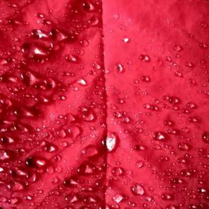 ������ � ���������