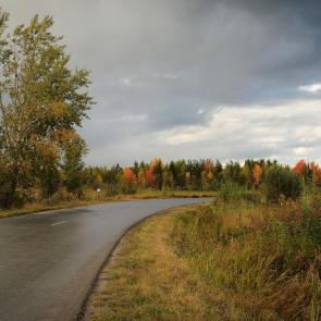 ����: �����...