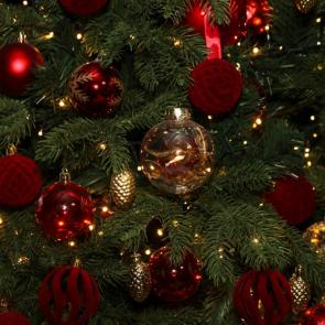 ��������� ����������� ���������