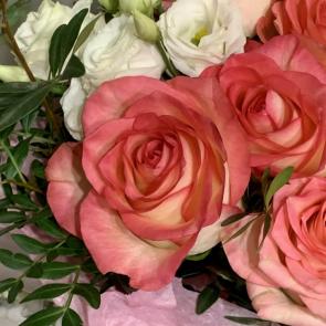 ����: ���� 