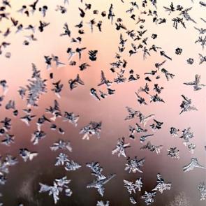 ����: ���� �� ����