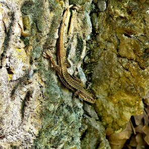 ���� ��������: � �� �������� ����